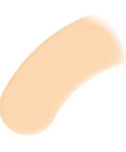 BB Stick Ritocco Perfetto